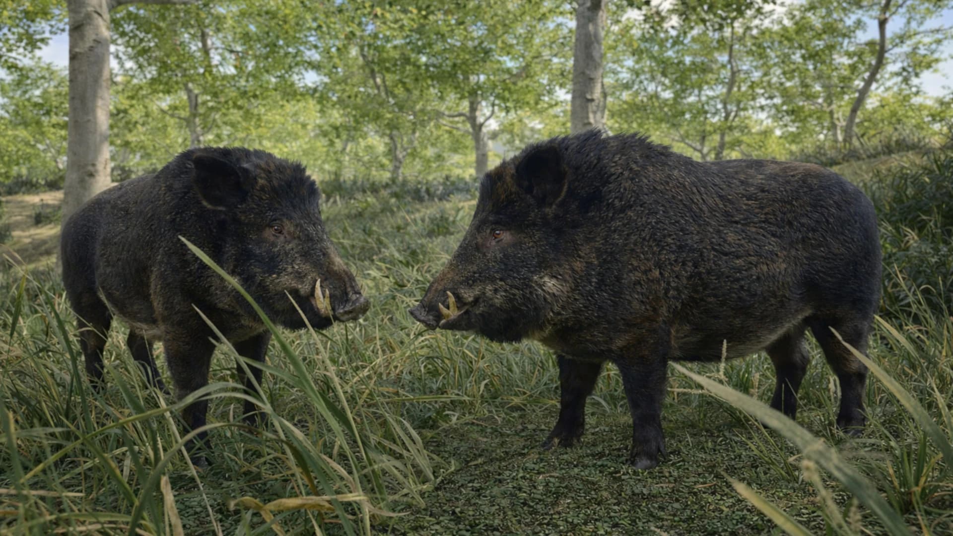 Скриншоты 4