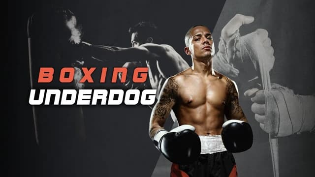 О товаре Boxing Underdog