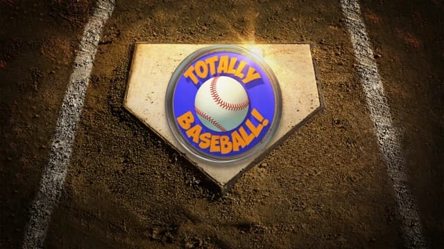 О товаре TOTALLY BASEBALL