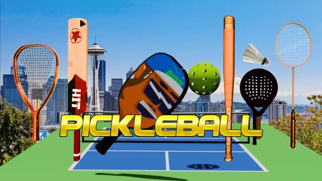 О товаре Pickleball