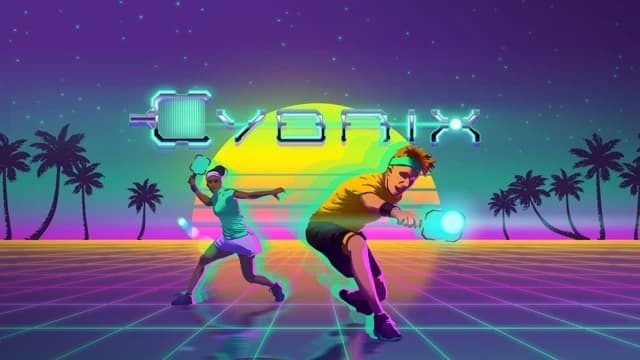 О товаре Cybrix