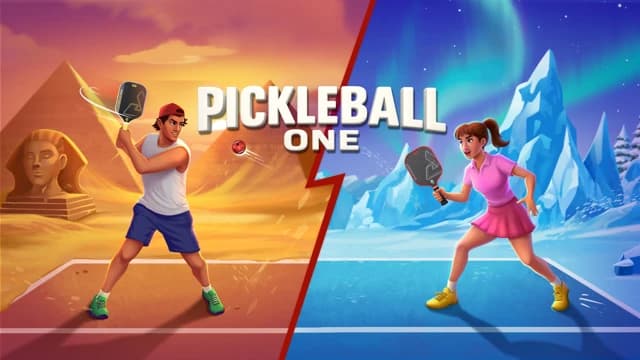О товаре Pickleball One