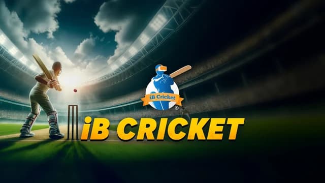 О товаре iB Cricket