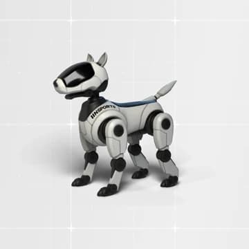 О товаре Training Gear