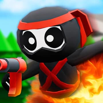 О товаре Ninja Bundle May 2025 Consumable