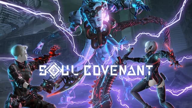 О товаре SOUL COVENANT