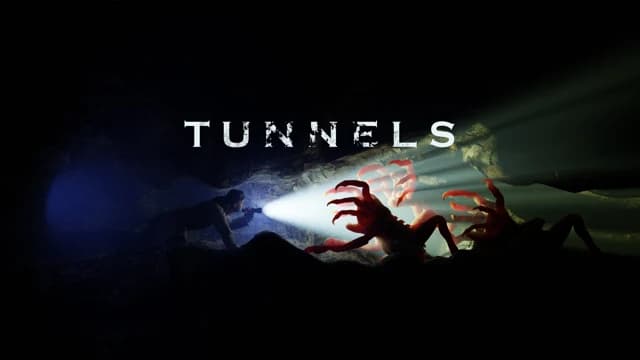 О товаре Tunnels