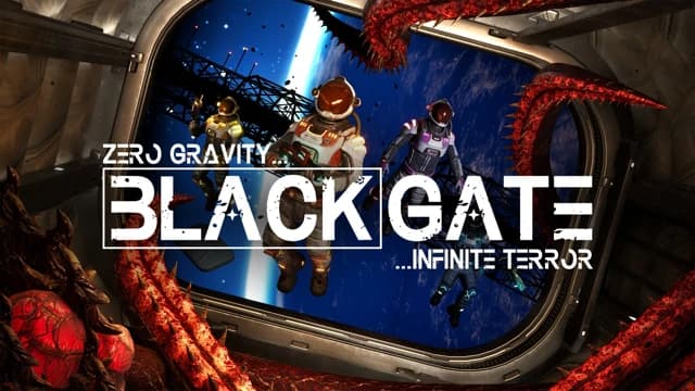 О товаре BlackGate