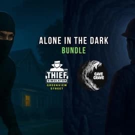 О товаре 🦇Alone In The Dark