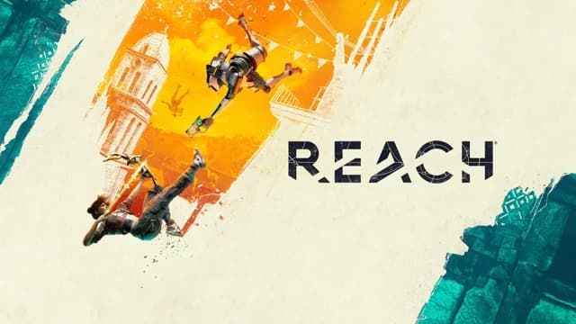 О товаре Reach
