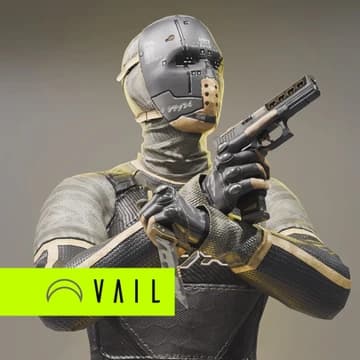 О товаре NYX Character and Weapon Skin Bundle