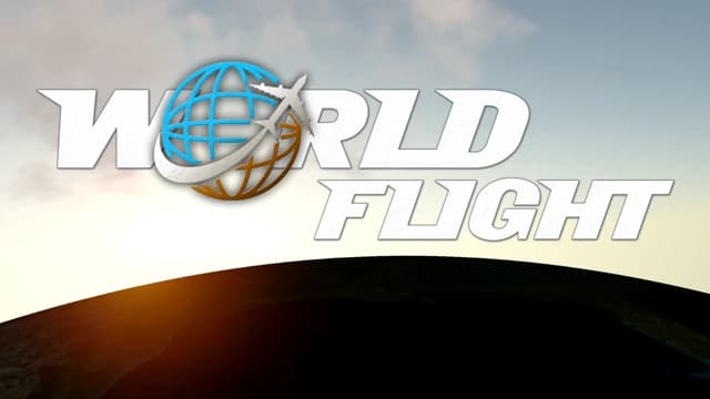 О товаре World Flight