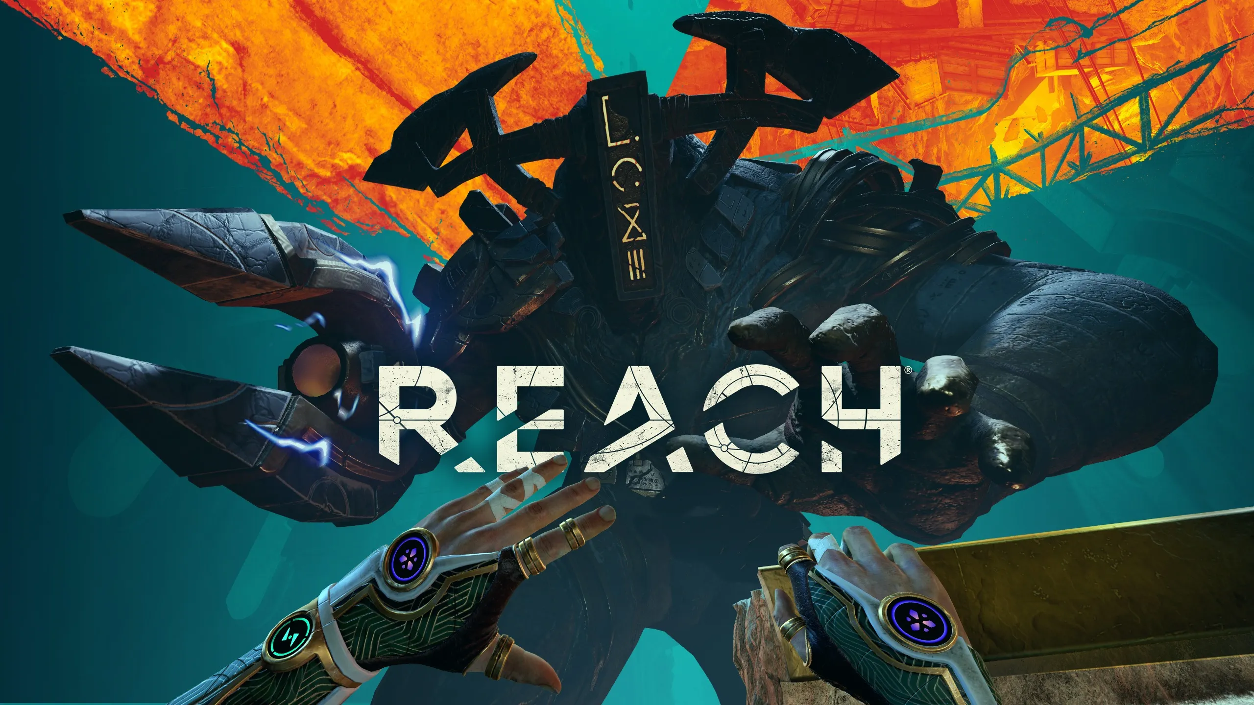 О товаре Reach