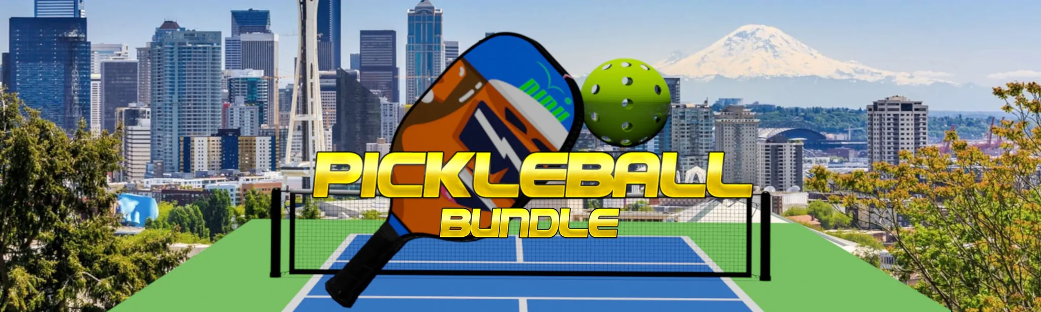 О товаре Pickleball Bundle