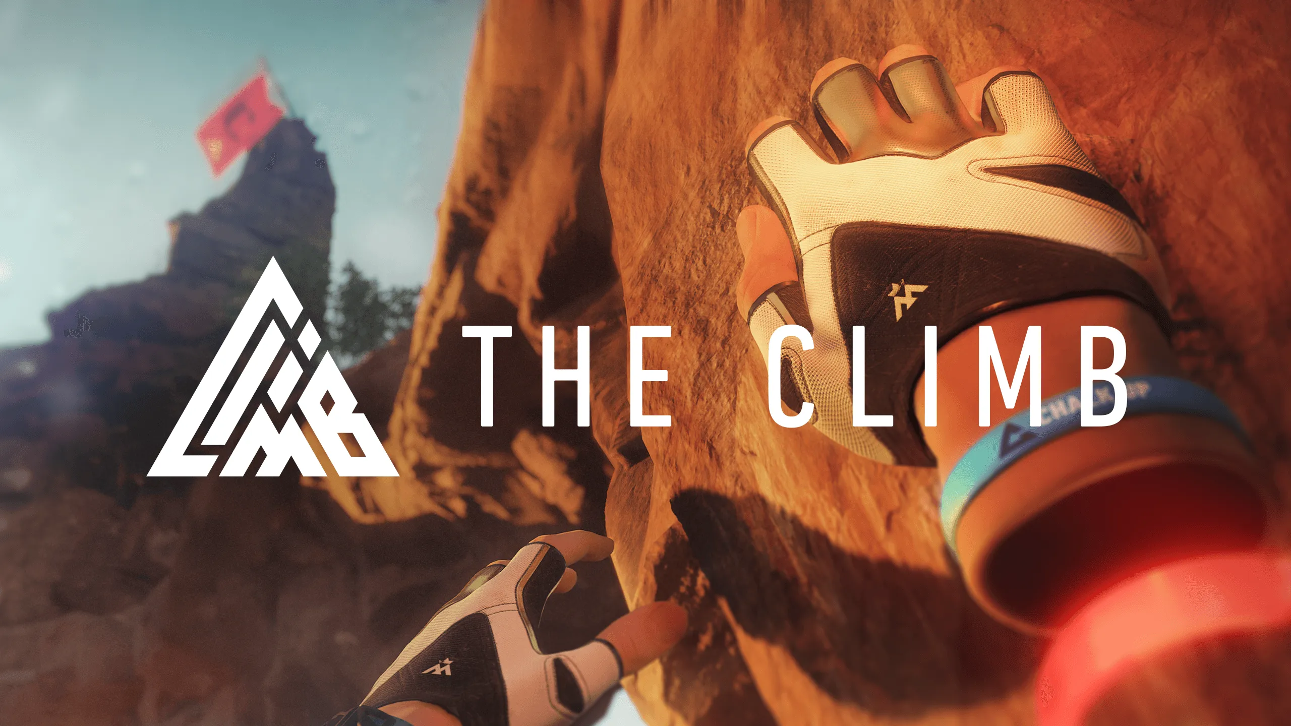 О товаре The Climb