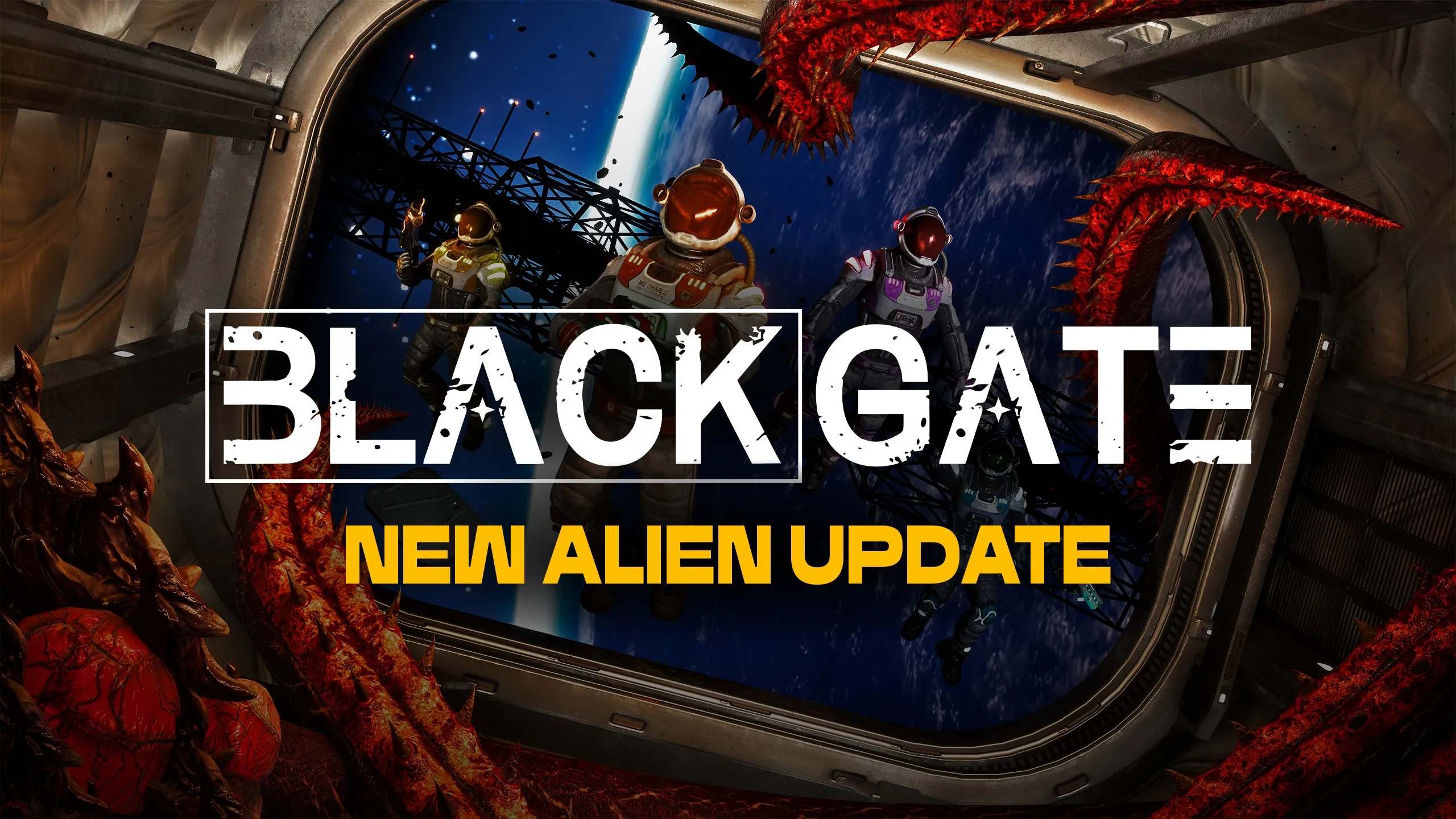 О товаре BlackGate