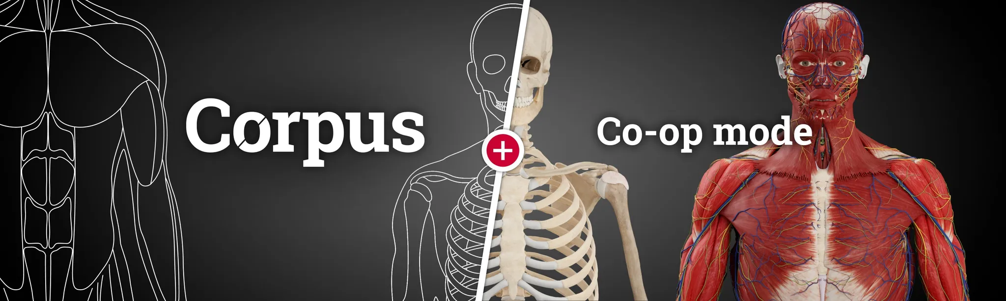 О товаре Corpus Anatomy + Кооперативный режим