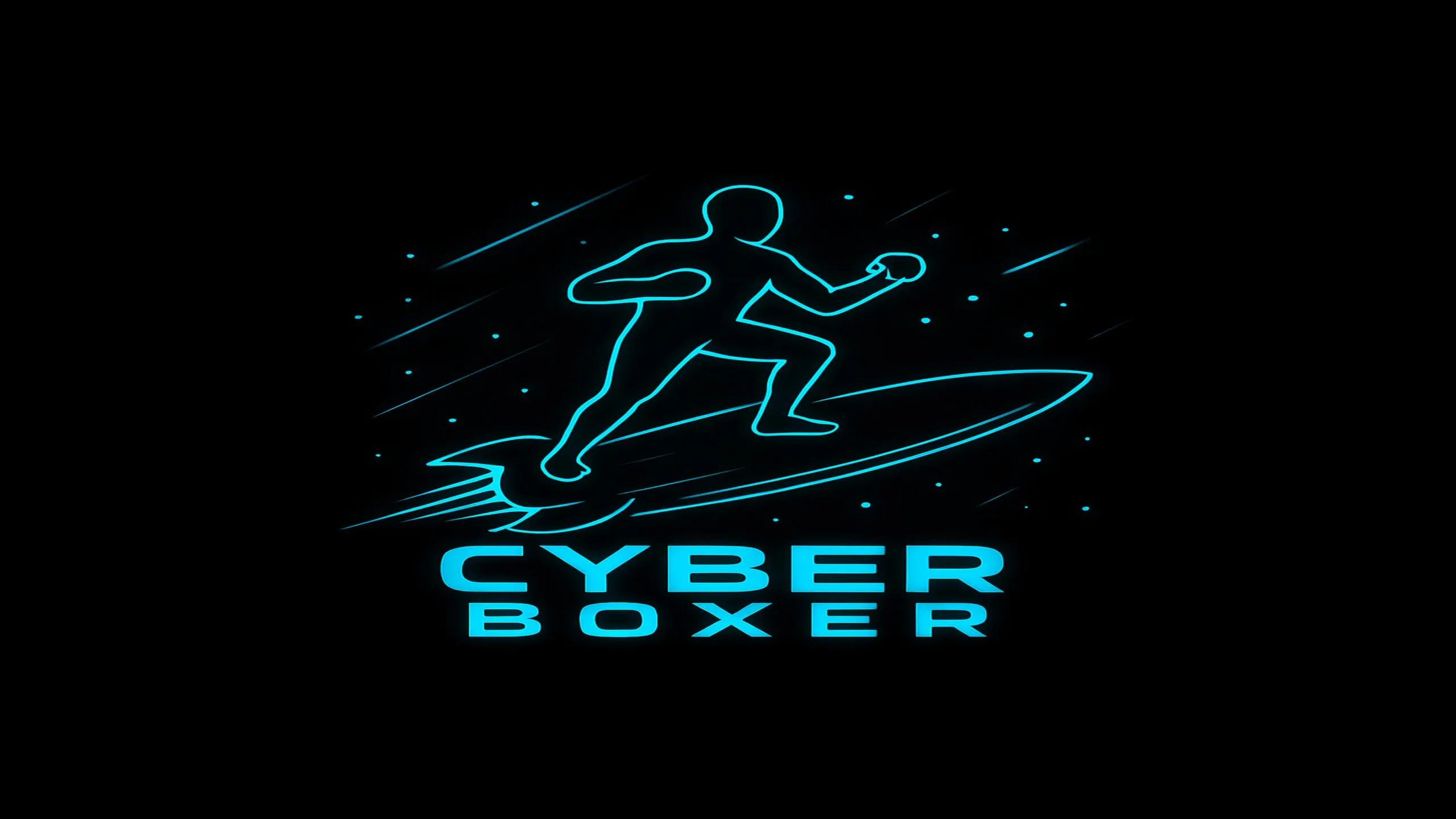 О товаре Cyber Boxer