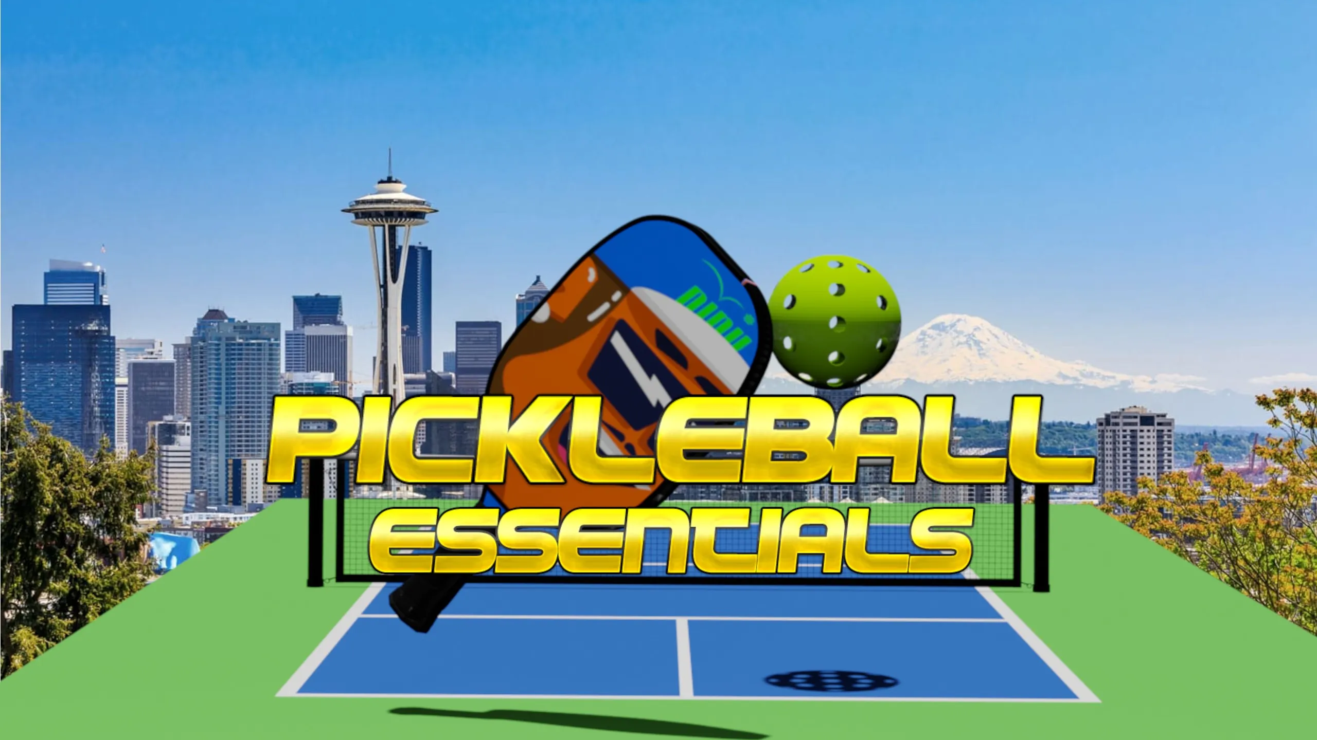 О товаре Pickleball Essentials