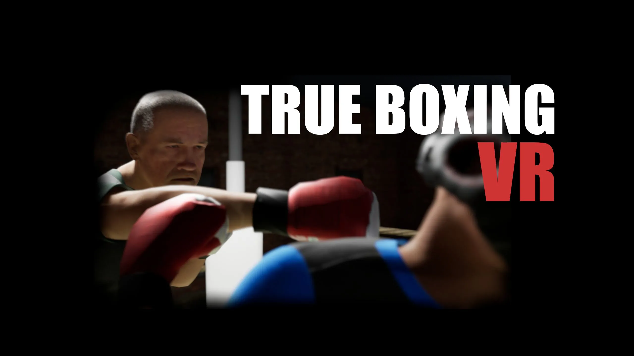О товаре True Boxing VR