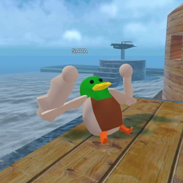 Duck Body Skin