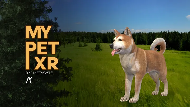 Скриншот 38